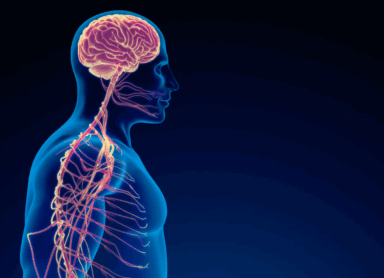 Brain and Body in Recovery Transitions